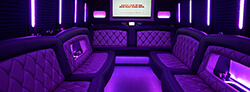 Luxury party bus